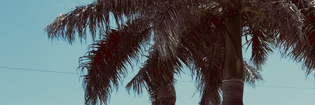 Pey🤍 banner