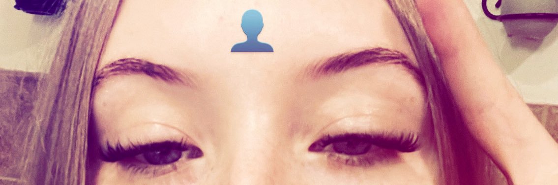 princess katie banner