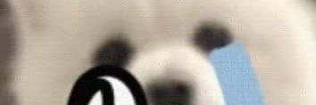 张才诚 banner
