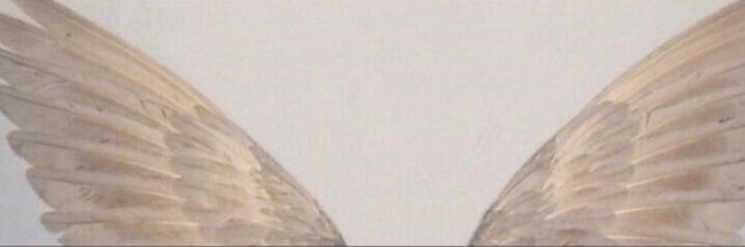 vsllre's profile banner image