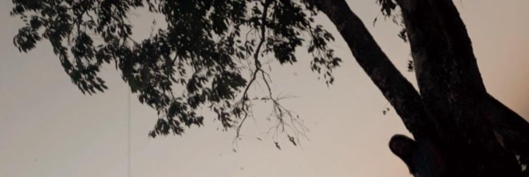 YourOxycodone's profile banner image