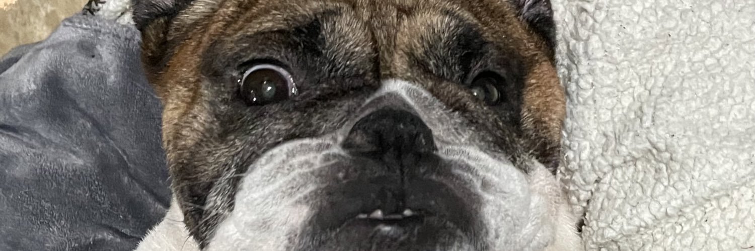 LittleBabieH's profile banner image