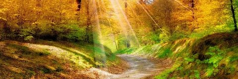 Annette34331400's profile banner image