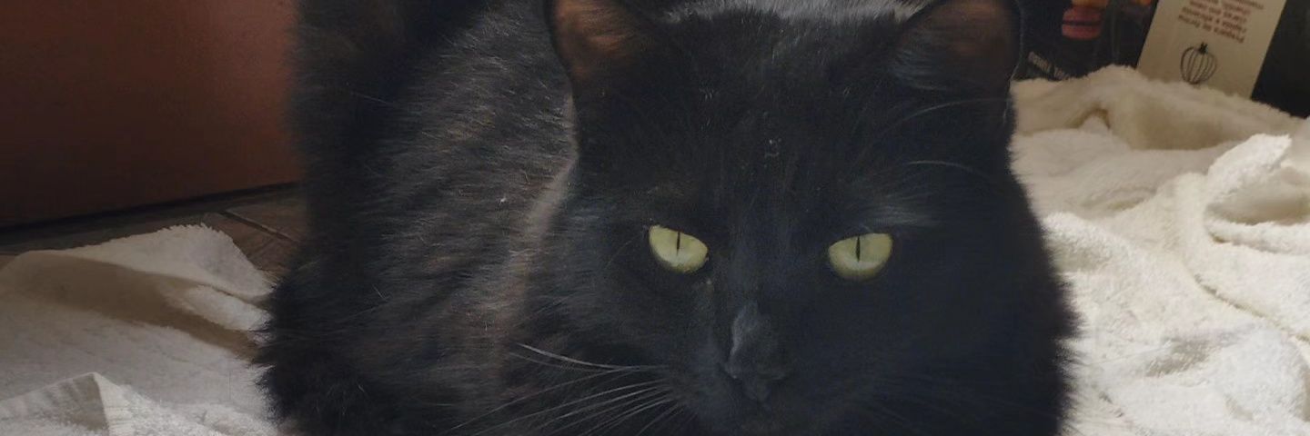 Mariu🤘🏻 banner