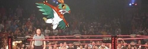 _S4NJ1's profile banner image