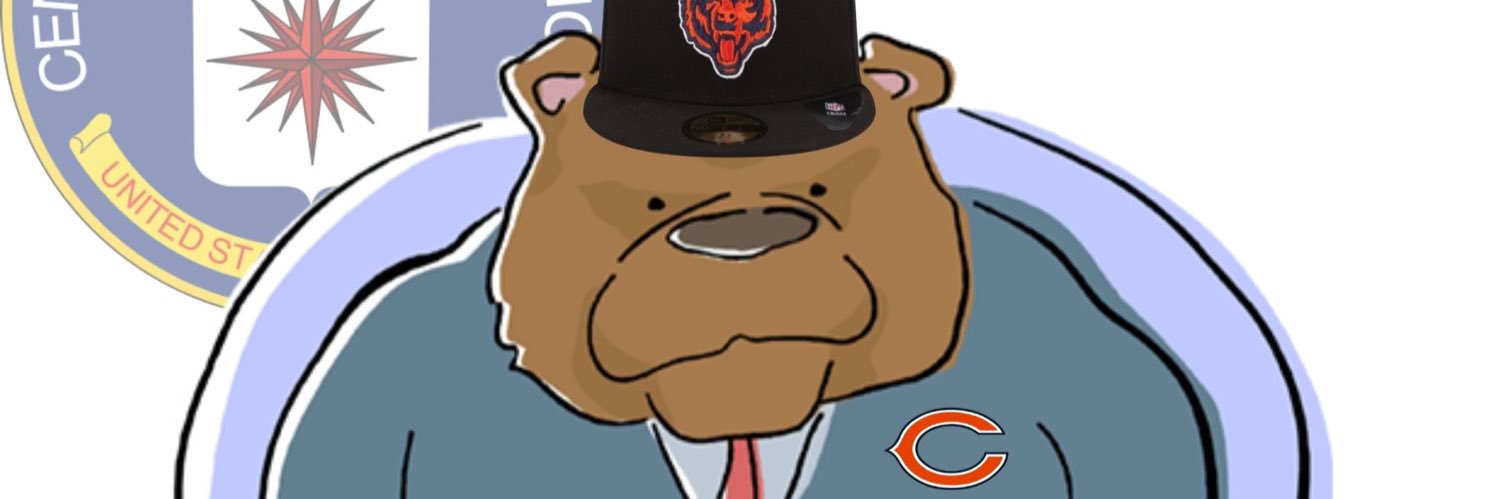 Bears Daily Brief banner