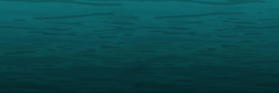 KathyLisiewicz's profile banner image
