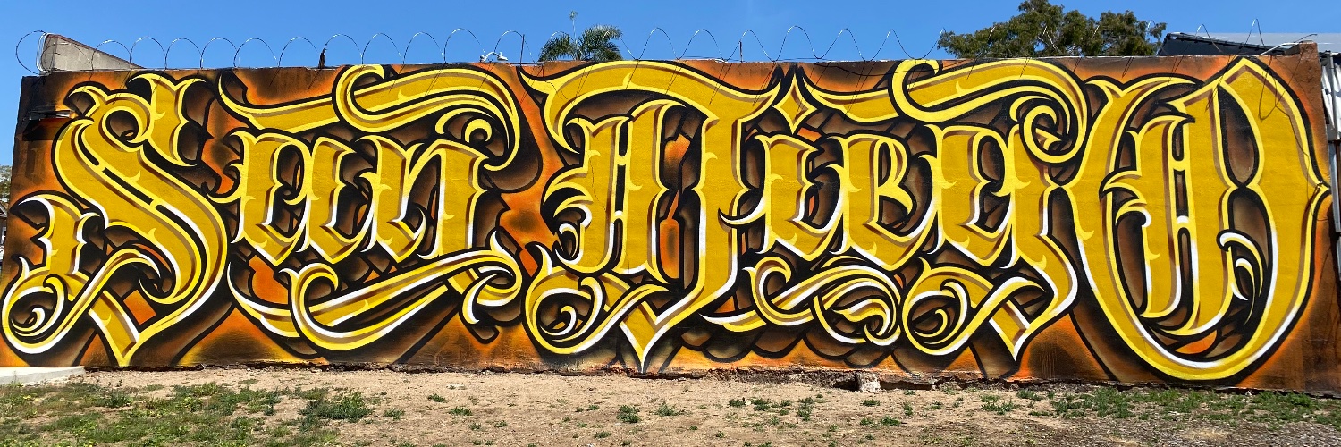 Edgar Vega, MD, MAS banner