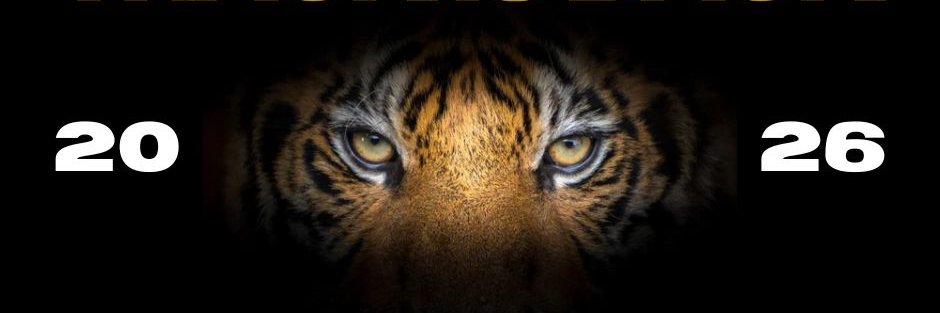 Spencer Tiger Boys Track & Field banner