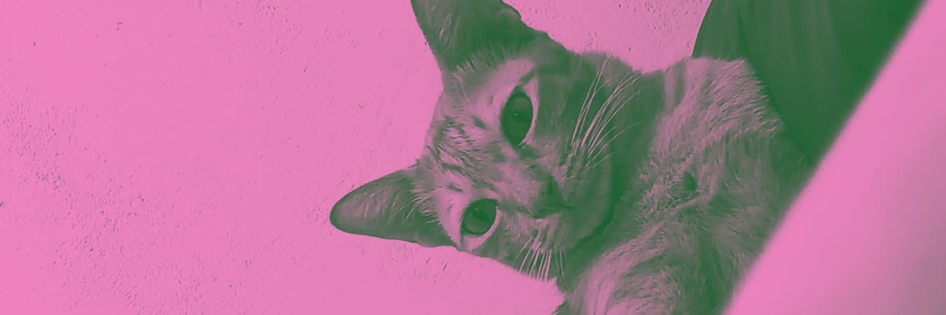rvwka's profile banner image