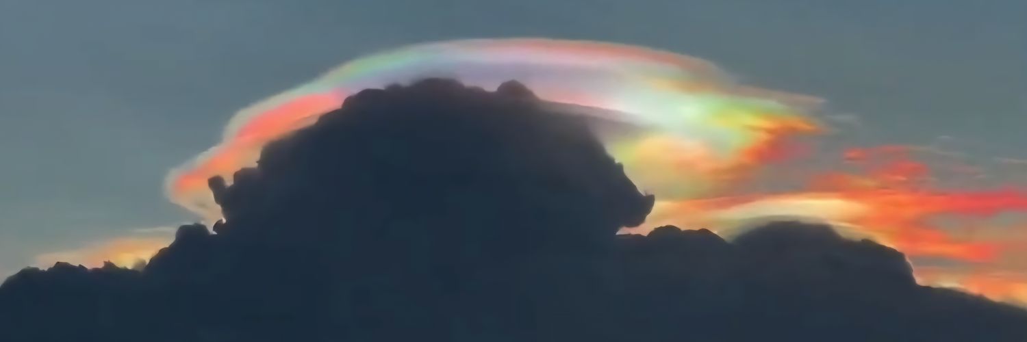 Freddough1's profile banner image