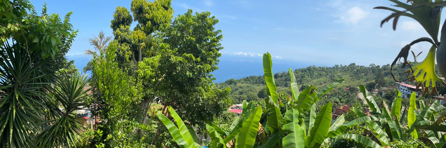 JoyBenitez's profile banner image