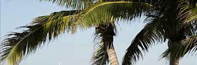 SandyCo72550080's profile banner image