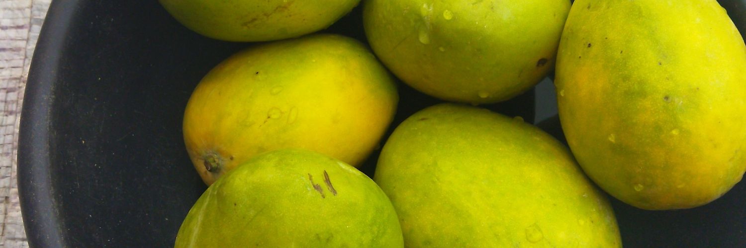 Mayor Of Middlebelt banner