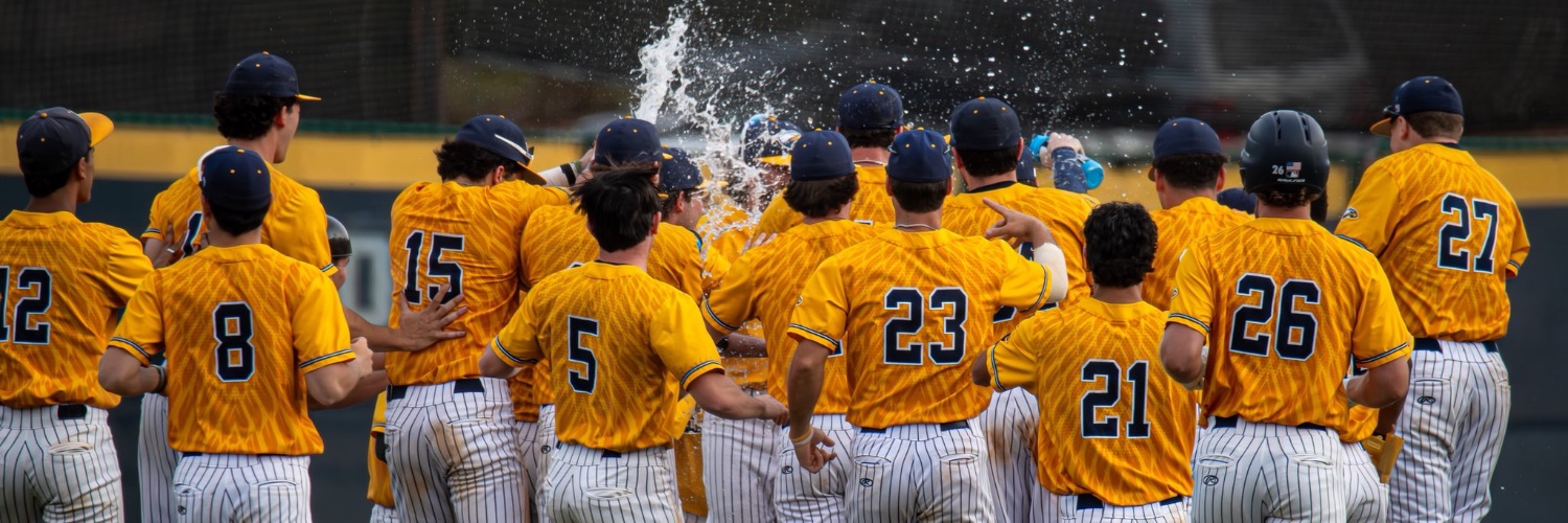 Ryan King Roggin banner