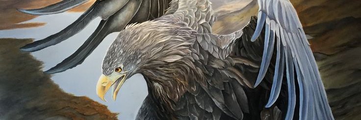 0xskyking banner