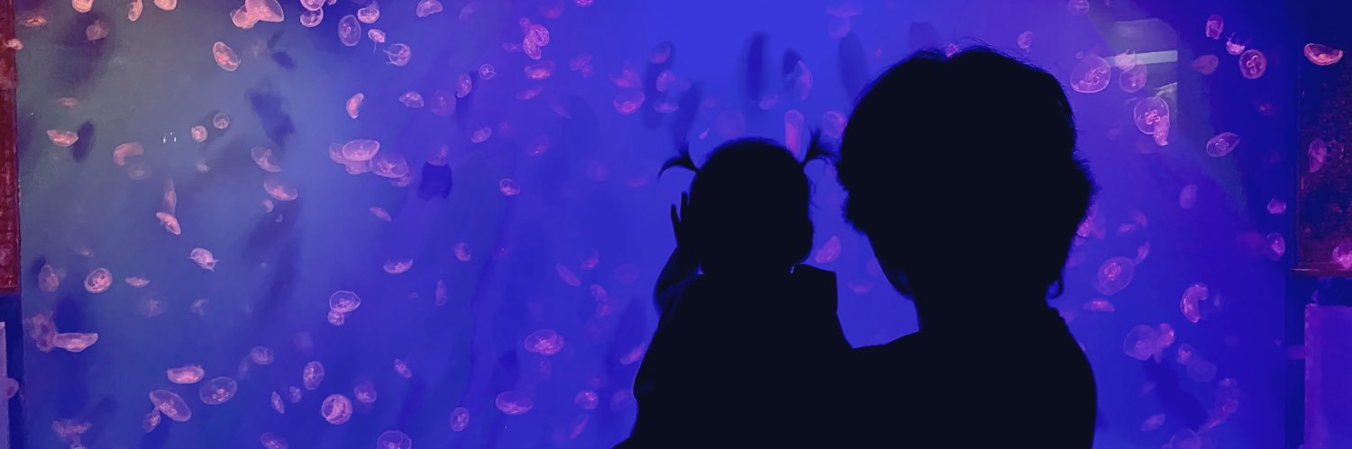 udinulalaa's profile banner image