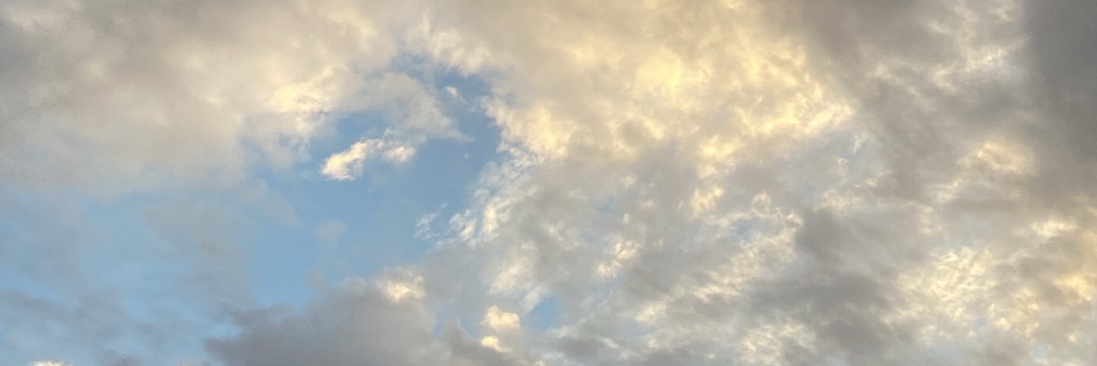 Anya16457's profile banner image