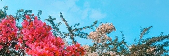 navyaaaa13's profile banner image