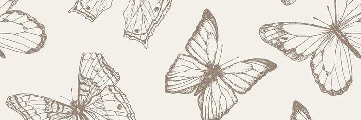 vivi banner
