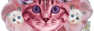 BunnyLefluf's profile banner image