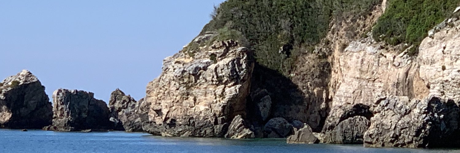Sarah__FL's profile banner image