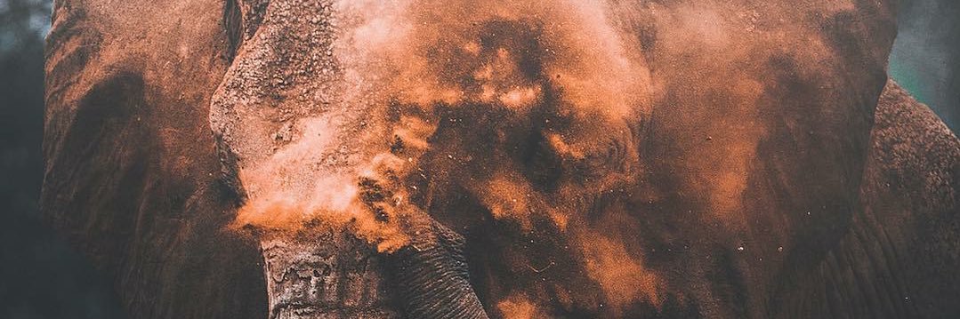 brennSn's profile banner image