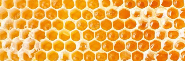 CardanoBuzz Profile Banner