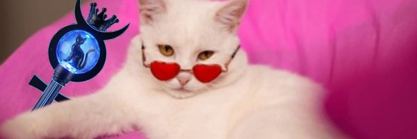 D_Xicheng Profile Banner