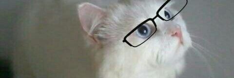 deyemada's profile banner image