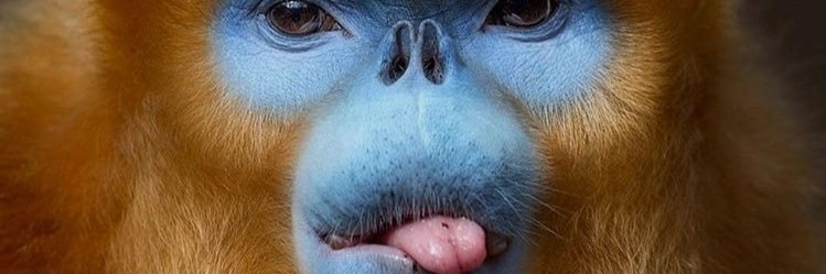 _lixi_'s profile banner image