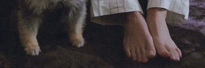 kathyvte's profile banner image
