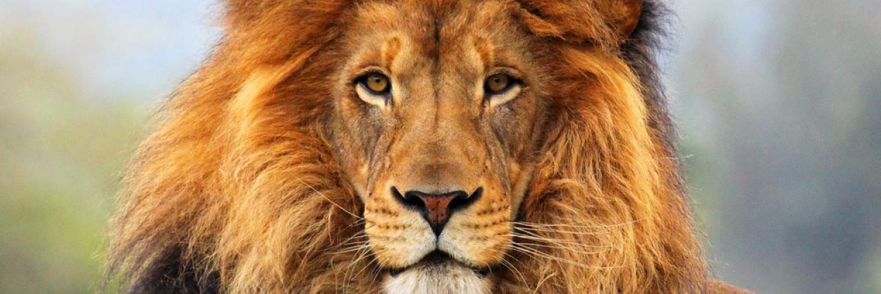 Leo3680's profile banner image