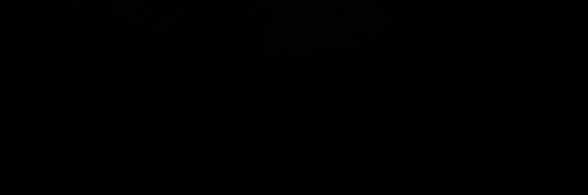 eiaftn's profile banner image