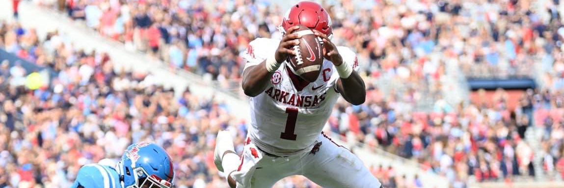 ELITE HOGS 🐗 banner