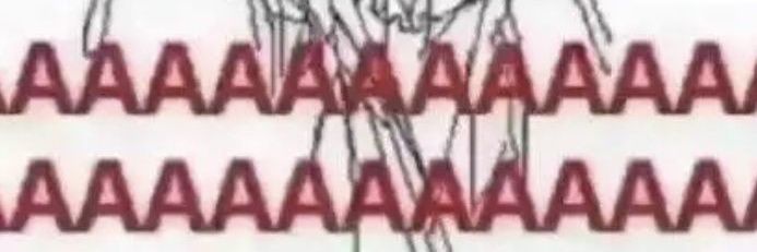 Porro banner