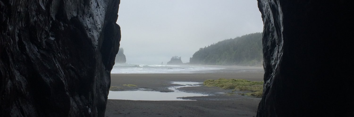 Stefari 👽✨ banner