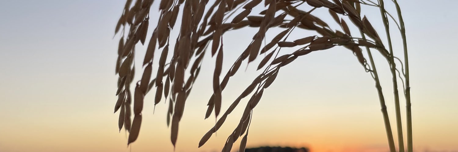 IngAgrLuVeiga's profile banner image