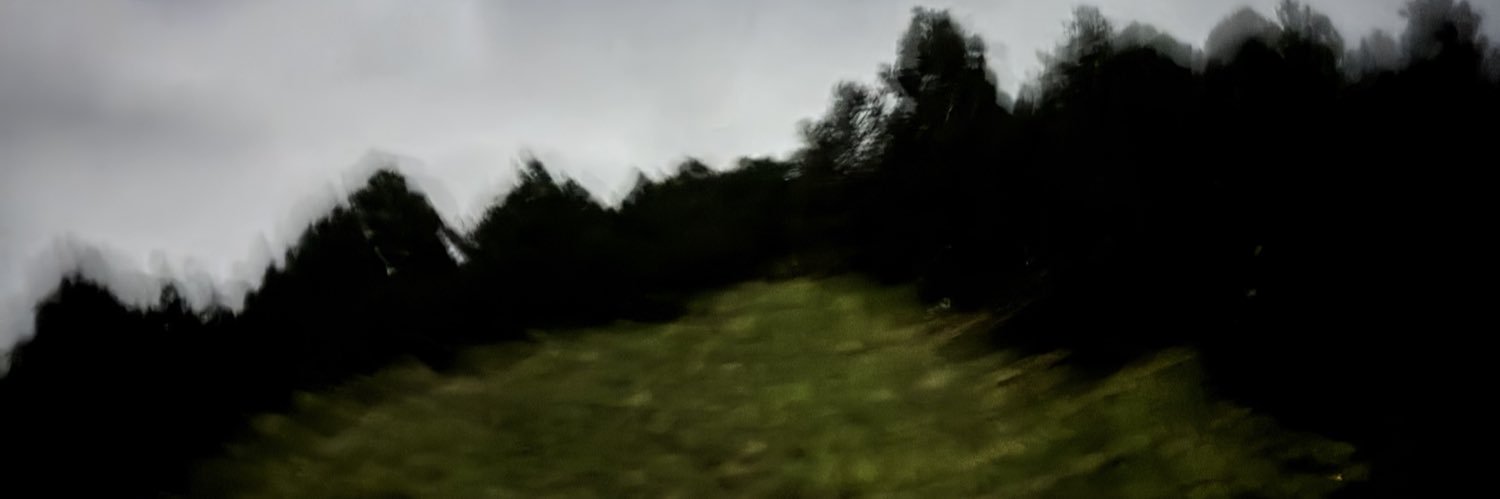 もぶさいこ banner