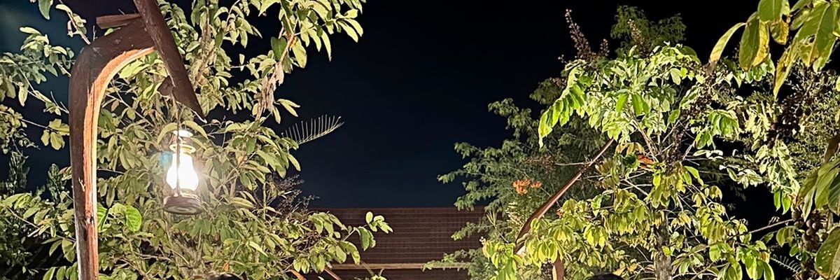 none banner