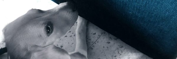 samlakig Profile Banner