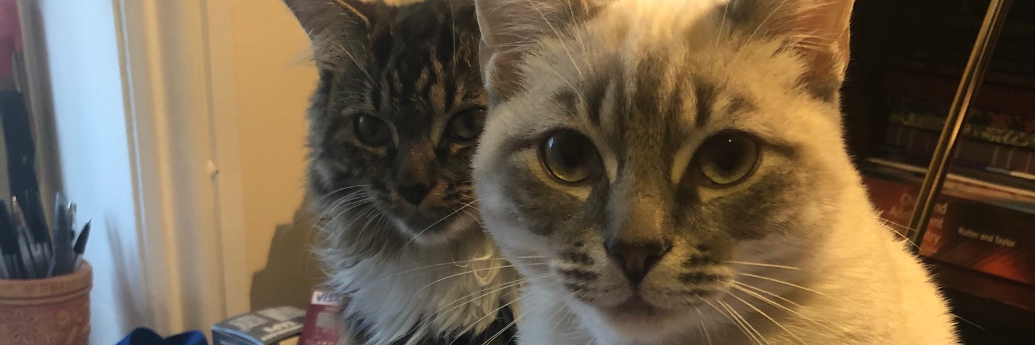 Francesca Procopio banner