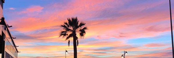 teemz0x Profile Banner