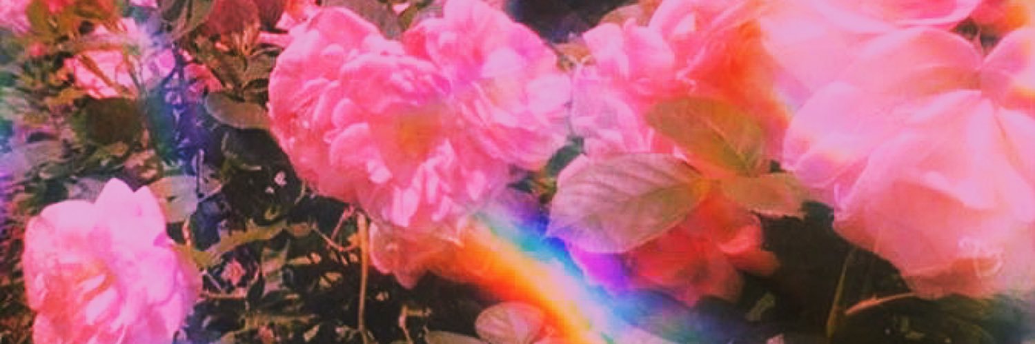KingKitty__'s profile banner image