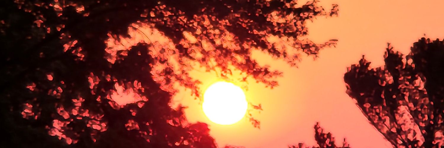 TySelbrede's profile banner image