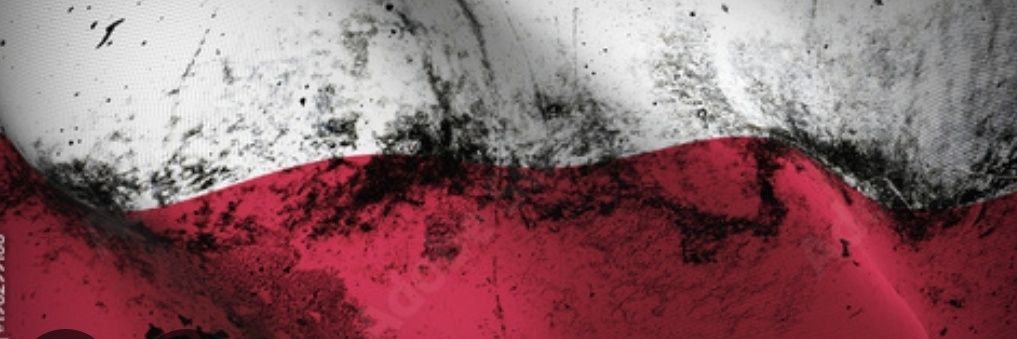 Zajechany Zygmund banner