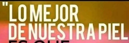 AlmendraRi's profile banner image