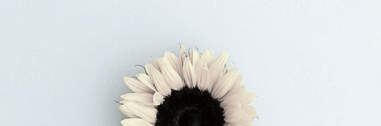 𝐺𝑒𝑜𝑔𝑒𝑎𝑟 banner