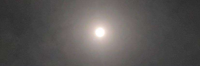 ⋆ 𝑃𝑙𝑒𝑎𝑠𝑒𝑟 𝑓𝑙𝑒𝑠ℎ𝑙𝑖𝑔ℎ𝑡 ⋆'s banner