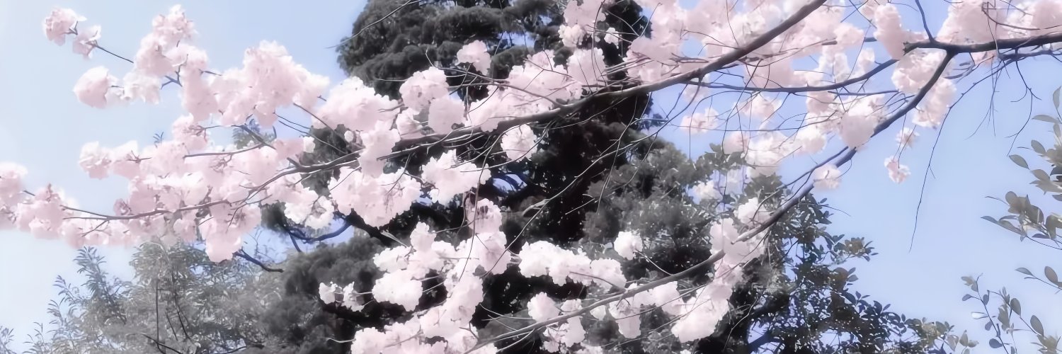 kikvchanj's profile banner image